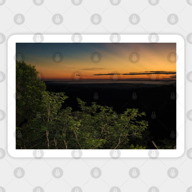 442015 sunrise in the jungle Sticker by pcfyi